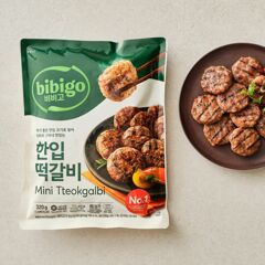 대체 텍스트