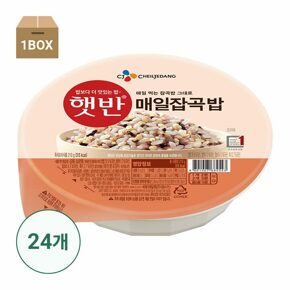 [직배송] 햇반 매일잡곡밥210gX24개(1box)