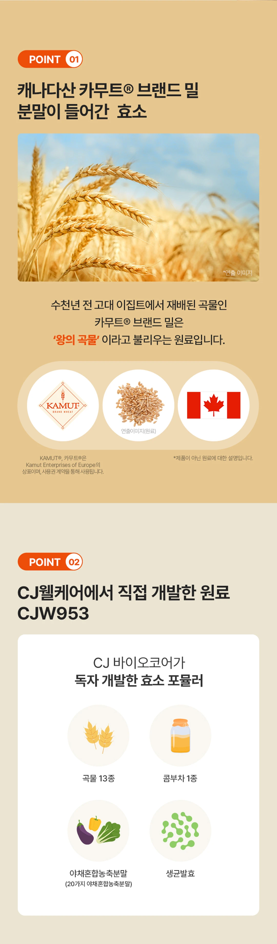 BYO CORE 카무트 효소 특징 — 캐나다산 카무트 브랜드 밀 분말 함유, 고대 이집트 재배 왕의 곡물 원료 설명