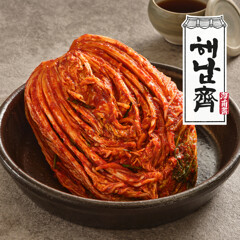 대체 텍스트