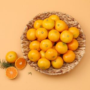 GAP 제주 하우스감귤 3kg (로얄과)_마켓핫딜