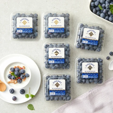 블루베리 125gX6팩