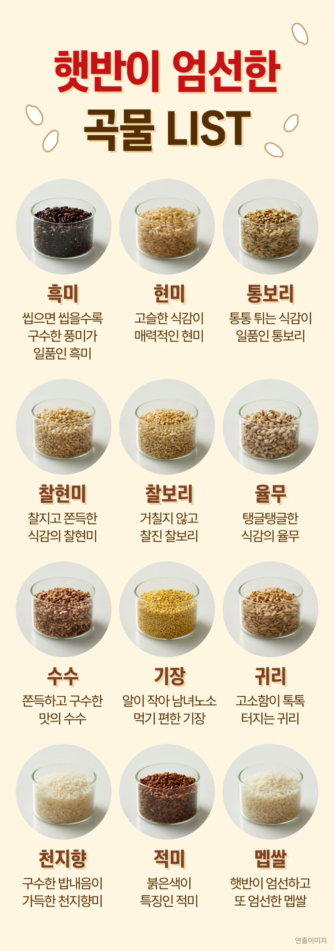 햇반 라이스플랜 12곡 잡곡밥 영양 정보 — 달걀 흰자 분량의 식물성 단백질 8g과 바나나 분량의 식이섬유 7.2g 함유