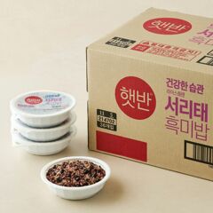 대체 텍스트