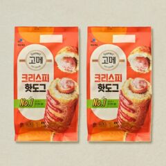 대체 텍스트