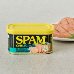 대체 텍스트
