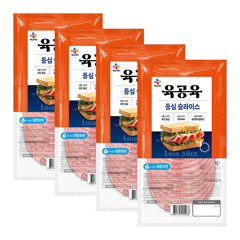 대체 텍스트