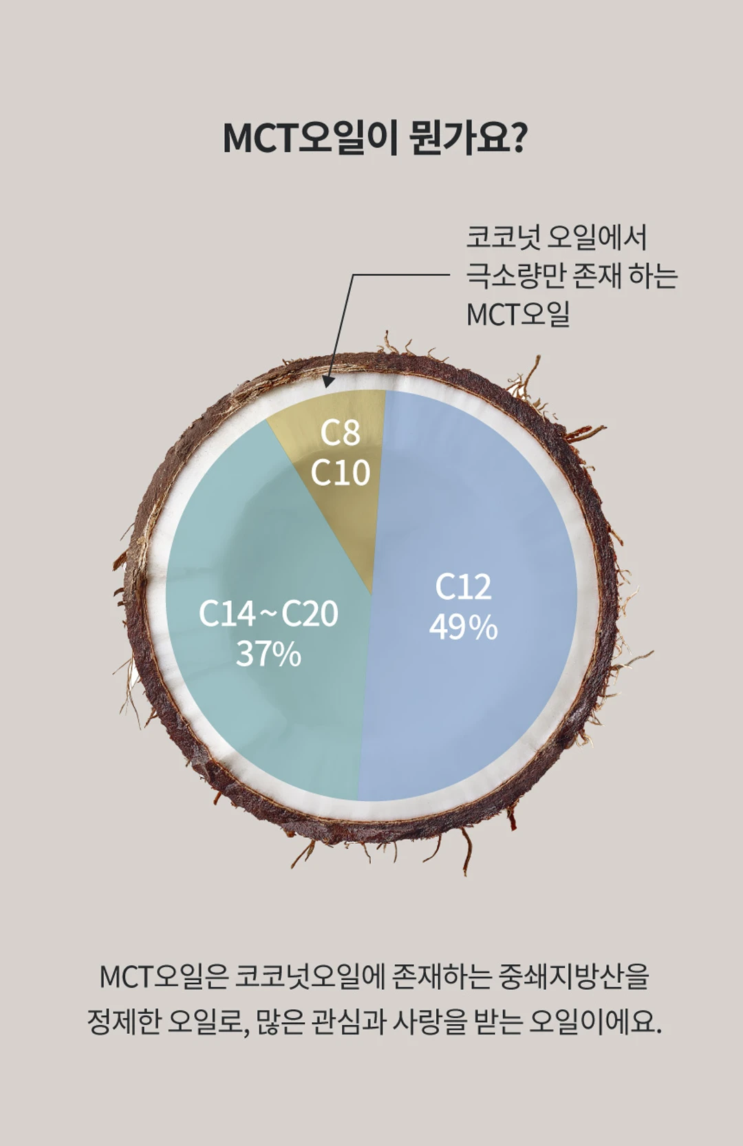 마이노멀 코코넛 C8 MCT 오일 특징 — 코코넛 오일 중쇄지방산 정제 원리 인포그래픽