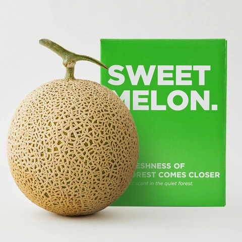 수플린 프리미엄 고당도 머스크 메론1.6kg(1입)