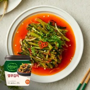 비비고 열무김치 480g(용기)