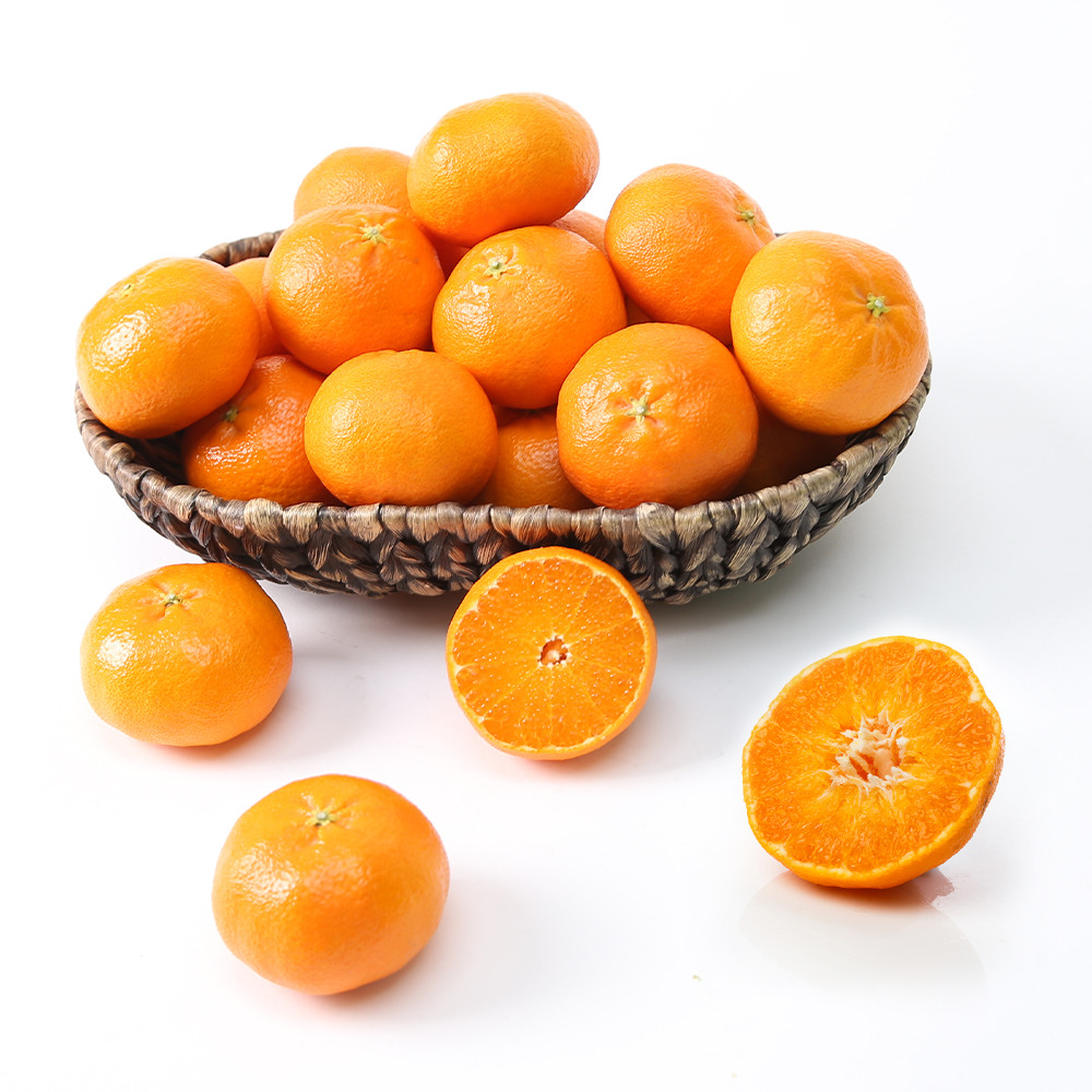 [CJ더마켓] 천혜향 2.5kg 중과 (10-12과 내외)