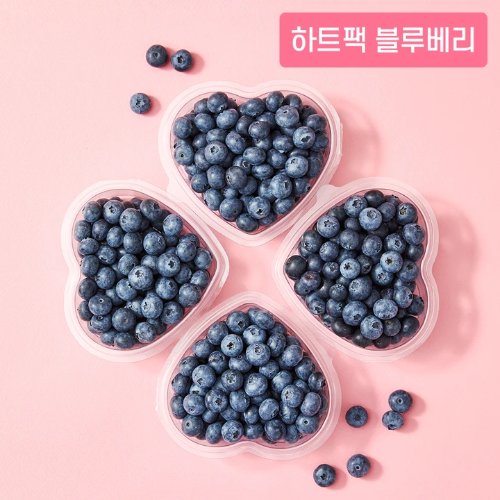 수플린 생블루베리 클로버팩(150gx4개)