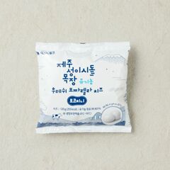 대체 텍스트