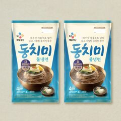 대체 텍스트