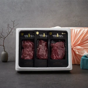 [25추석선물세트]정품진 한우 1++ 설도 모듬세트 700g