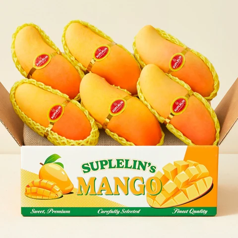 수플린 고당도 마하차녹 망고 2kg(5~7입)