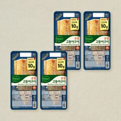 대체 텍스트