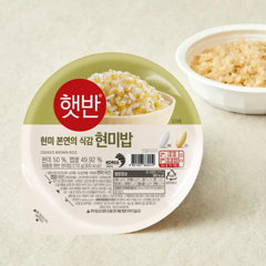 대체 텍스트