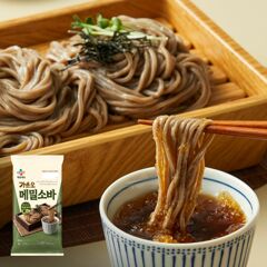 대체 텍스트