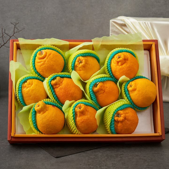 [26년설 선물세트]한라봉 선물세트 4kg