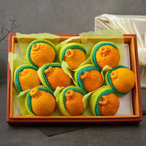 [26년설 선물세트]한라봉 선물세트 4kg