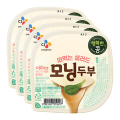 대체 텍스트