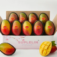 수플린 프리미엄 고당도 애플망고 3.6kg(8~9입)