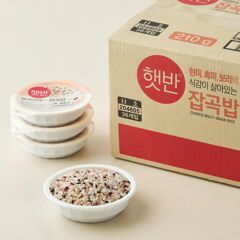 대체 텍스트