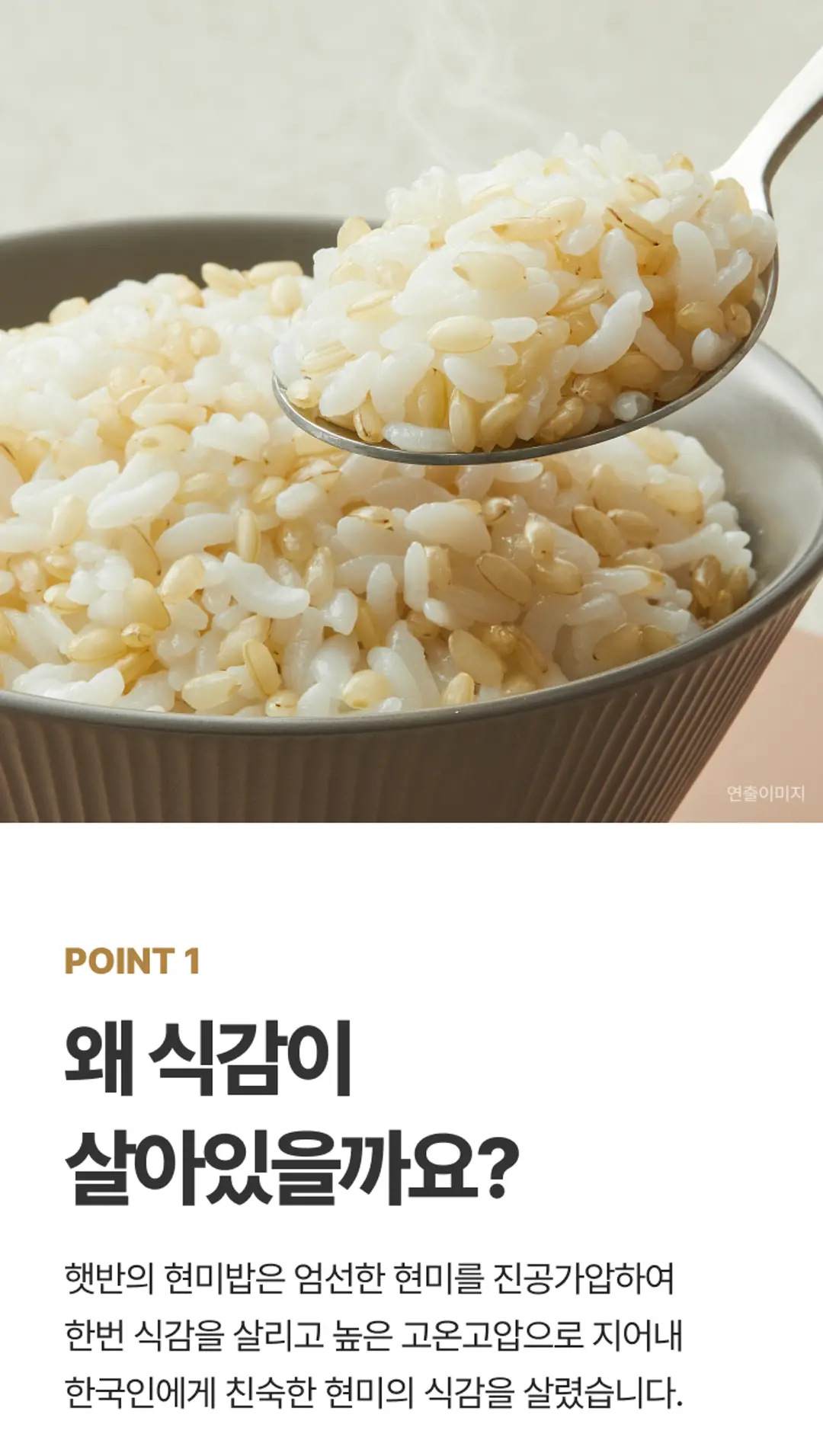 햇반 현미밥 취향저격 잡곡밥 — 현미쌀밥, 발아현미밥, 찰현미밥, 흑미밥, 찰잡곡밥 라인업