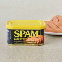 대체 텍스트