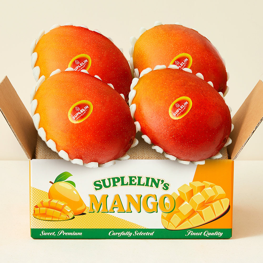 [CJ더마켓] 수플린 프리미엄 고당도 애플망고 1.6kg(4~6입)