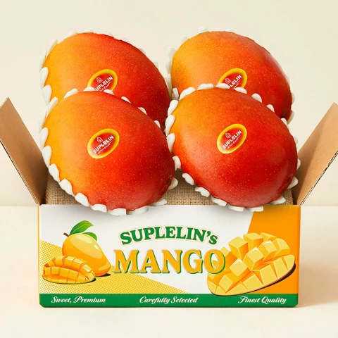 수플린 프리미엄 고당도 애플망고 1.6kg(4~6입)