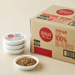 대체 텍스트