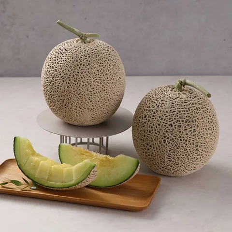 [26년설 선물세트]머스크멜론 선물세트 4.5kg