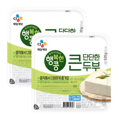 대체 텍스트