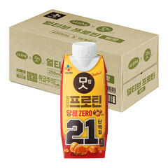 대체 텍스트