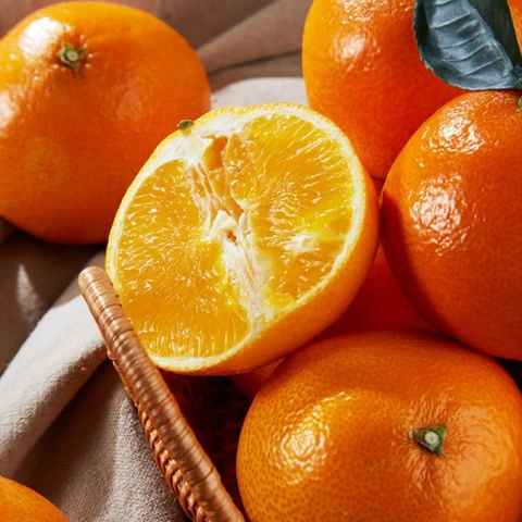 레드향 2.5kg 중과 (10-12과 내외)